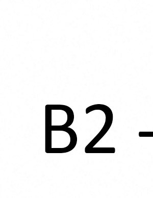 B2 B2
