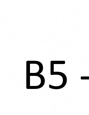 B5 B5