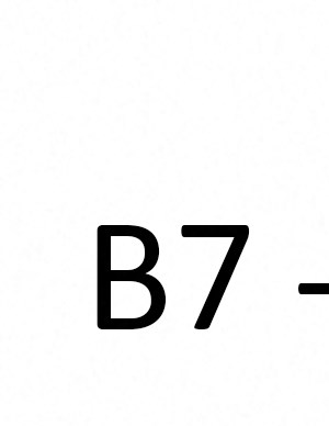 B7 B7