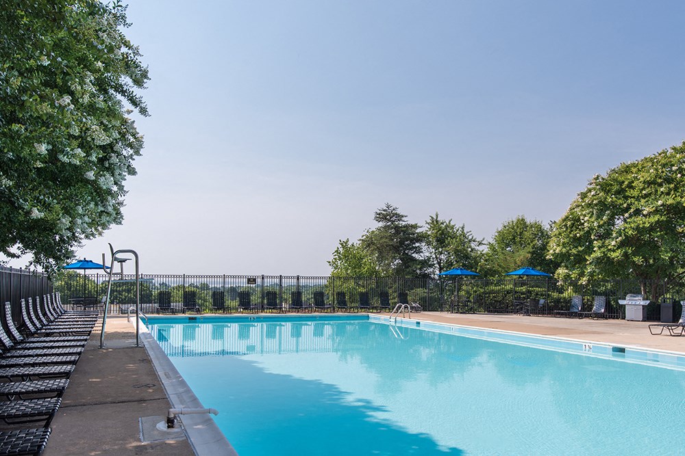 a swimming pool with trees and chairs around it
