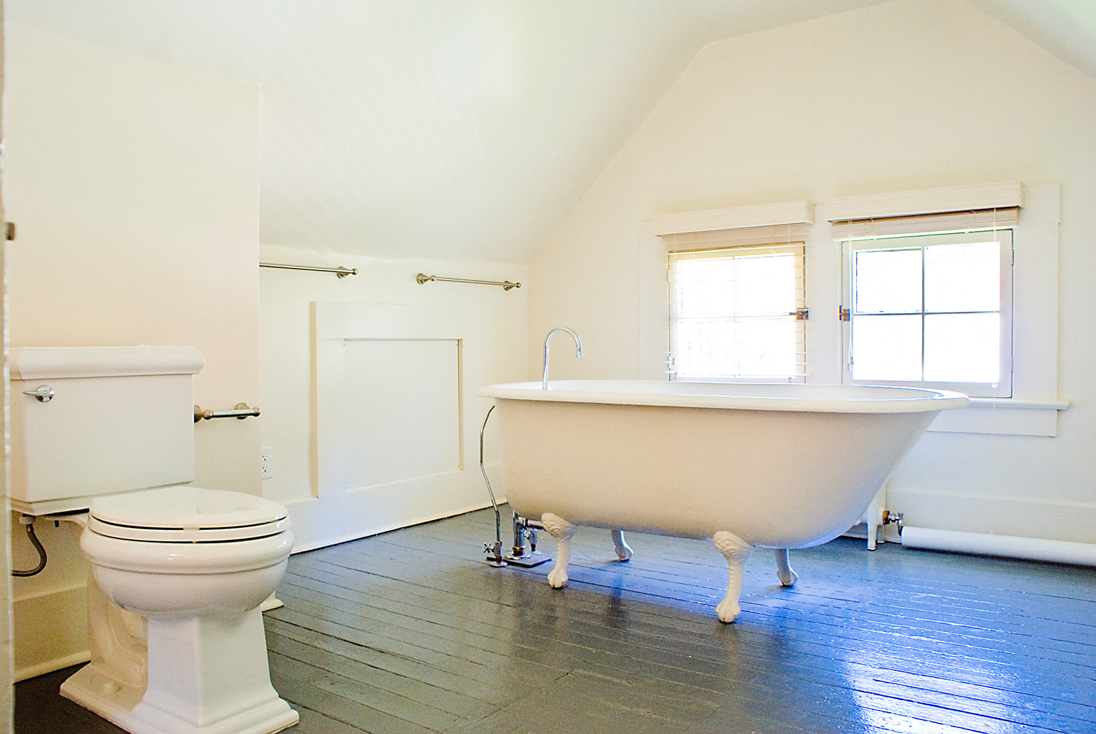 a bathroom with a toilet and a bath tub