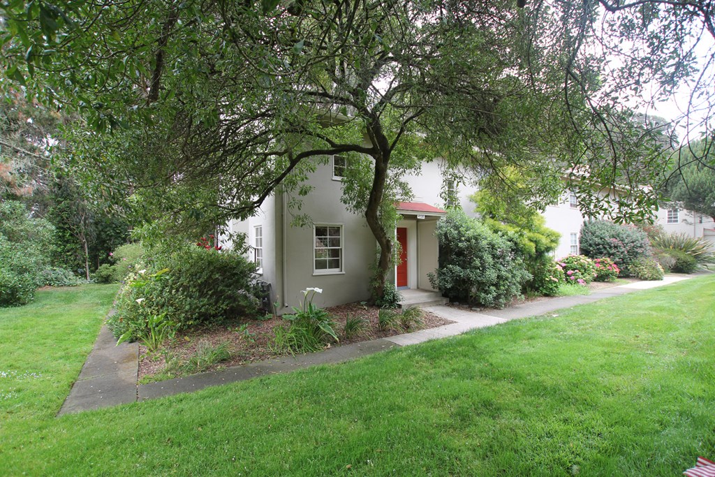 a small white house with a tree in front of it