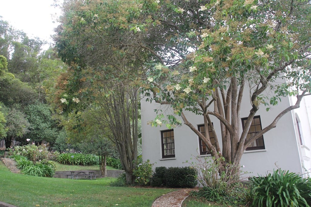 a white building with trees in front of it