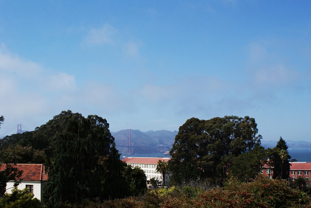 the city and the golden gate bridge in the background