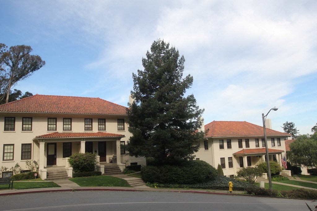a large white building with a tall tree in front of it