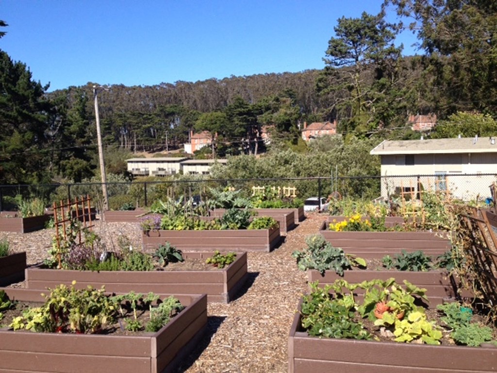 a view of the garden from the roof of the house