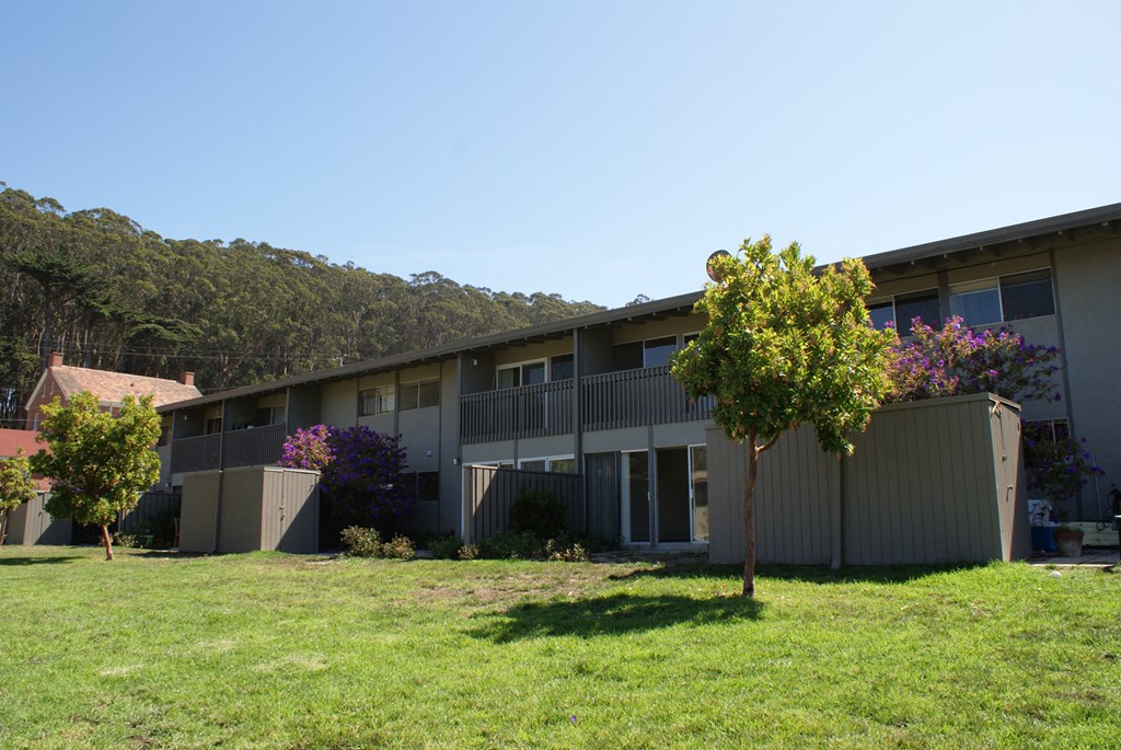 the view of our apartment building from the backyard