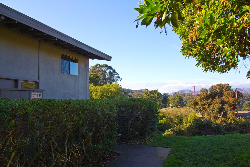 a view of the side of a house with trees and a sidewalk