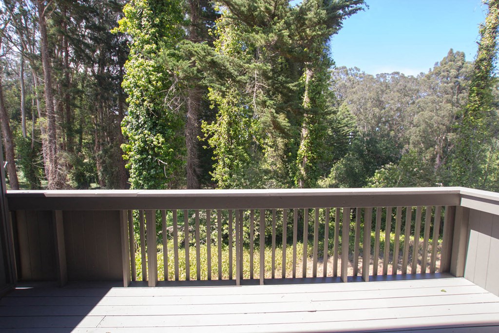 the view of the forest from the deck