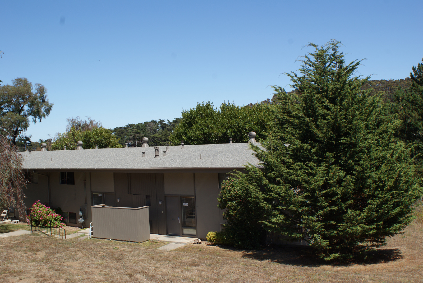 a house with a large tree in front of it
