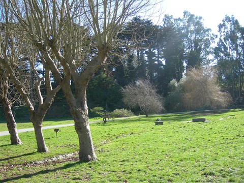 a grassy field with trees and animals in a park