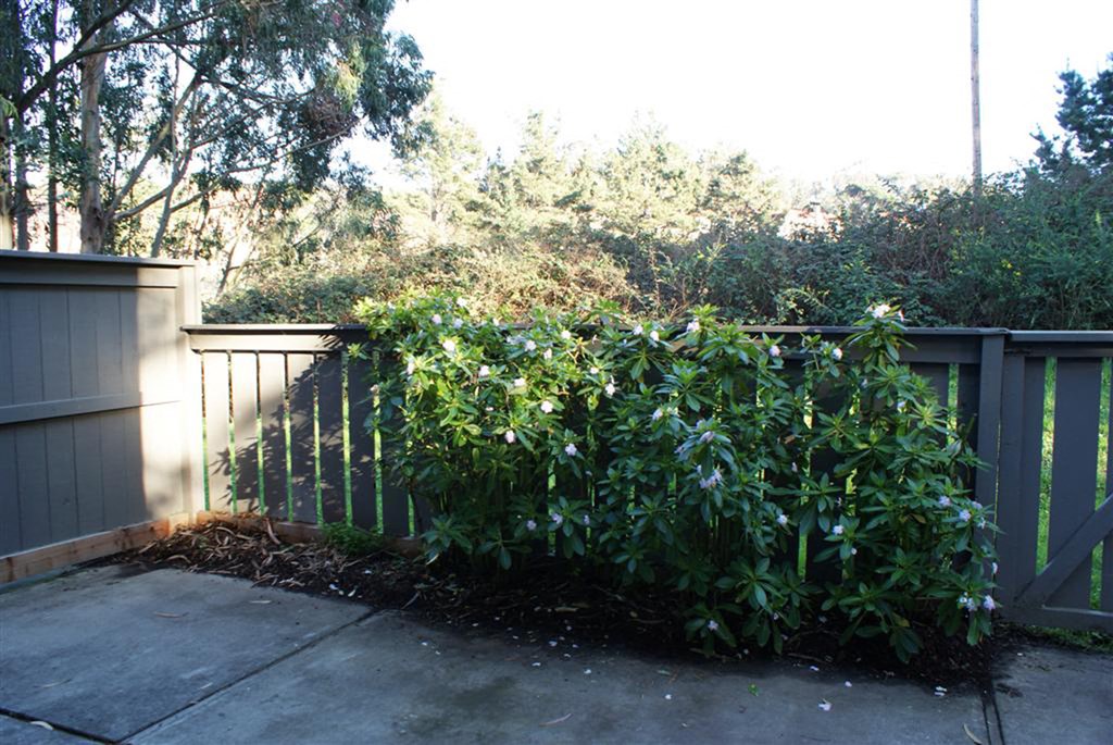 a fence with a bush behind it on a sidewalk