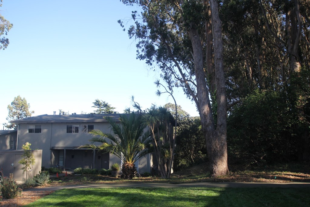 a house with a palm tree in front of it
