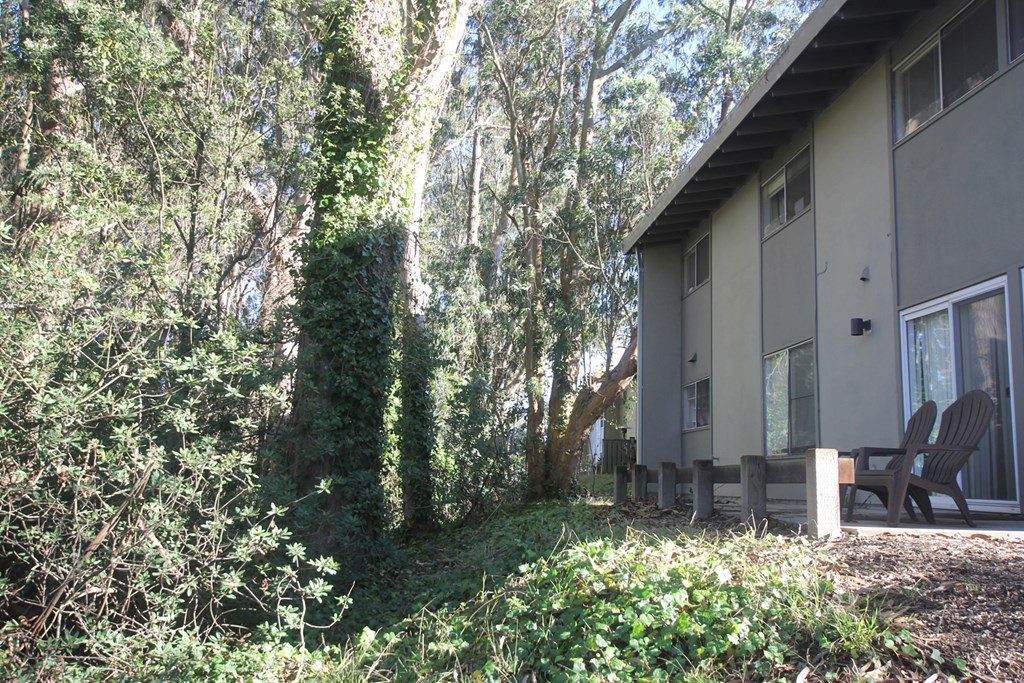 the back of the house with two chairs and a porch with trees