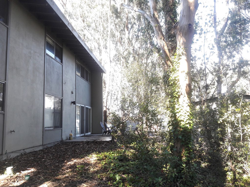 the back of the house with a patio and a tree