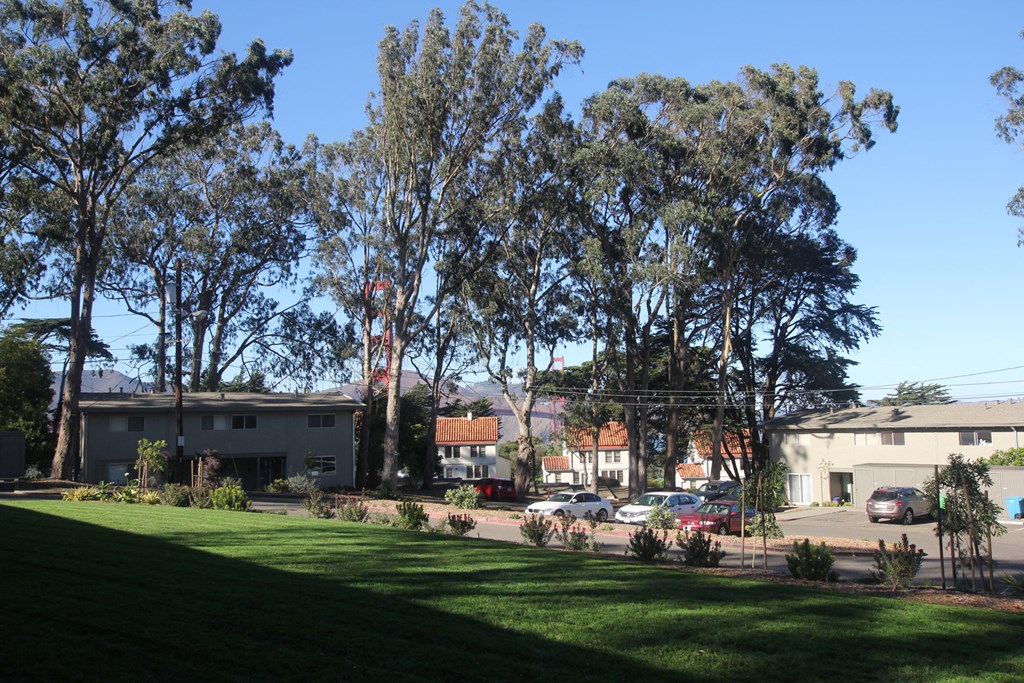 the front yard of a house with a lawn and trees