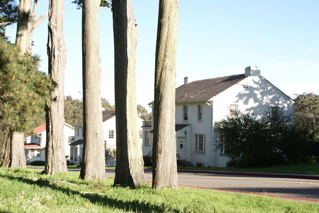 a row of trees in front of a white house