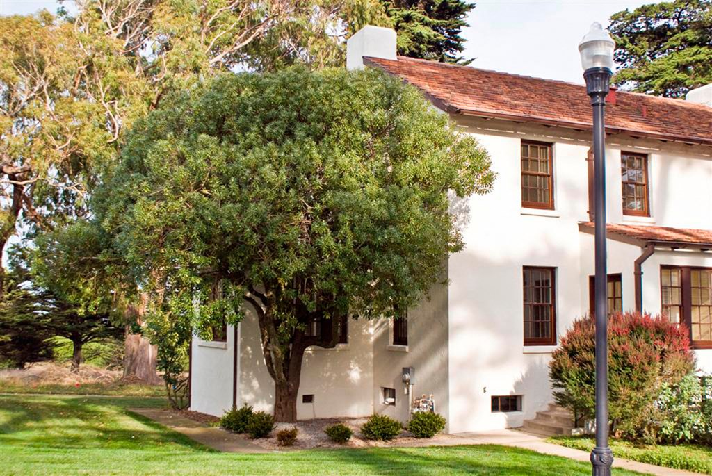 a white house with a tree in front of it