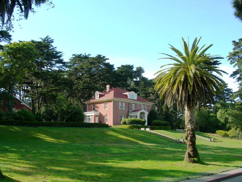 a pink house on a hill with a palm tree