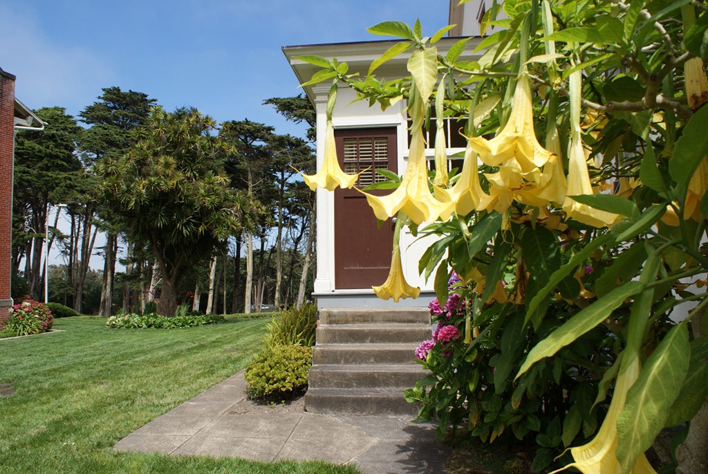 a small yellow house with yellow flowers in front of it