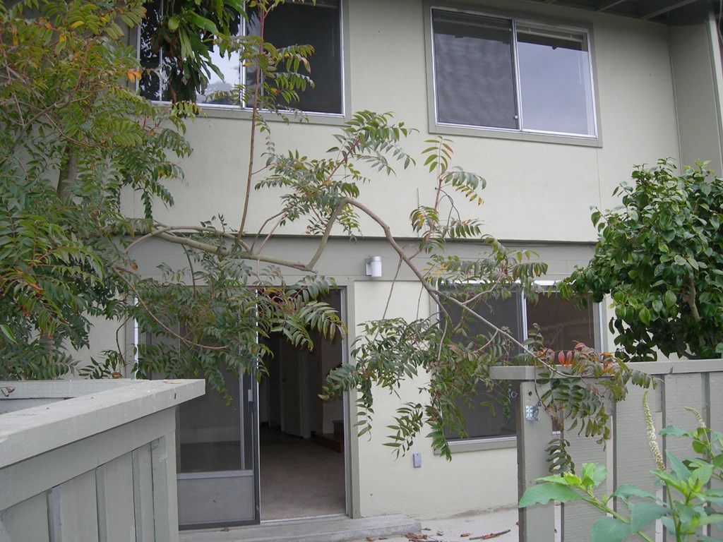 the outside of a house with a door and a tree