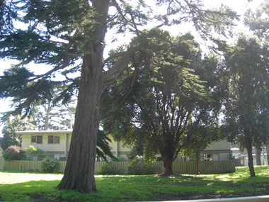 West Washington Blvd. 3-4 Beds Apartment for Rent