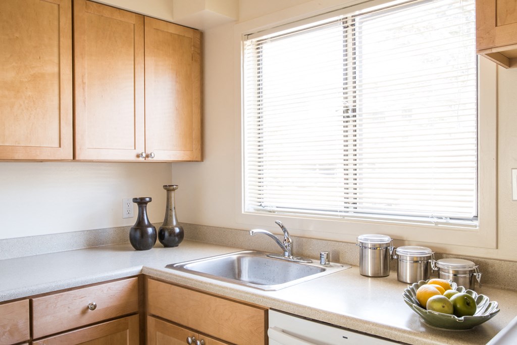 a kitchen with a sink and a window