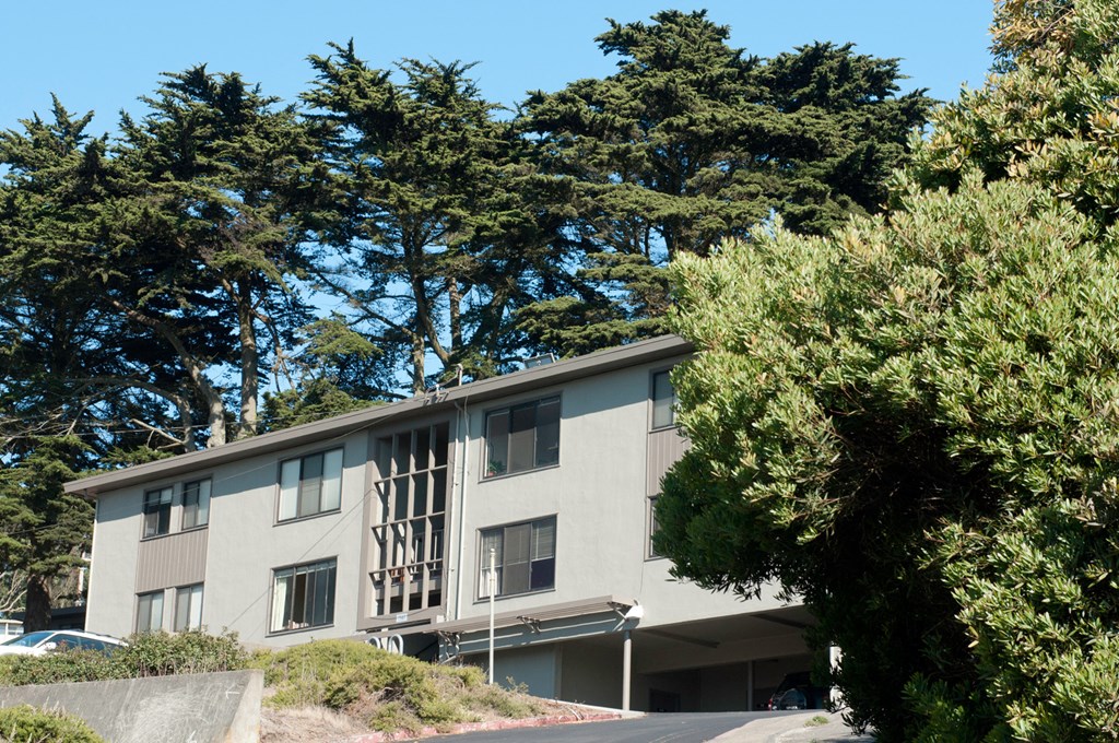 a white building with trees in front of it