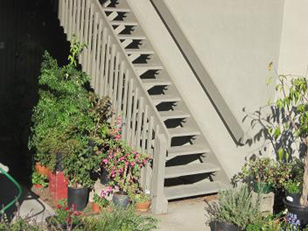 a group of potted plants next to a staircase