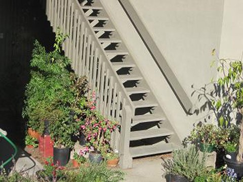 a group of potted plants next to a staircase