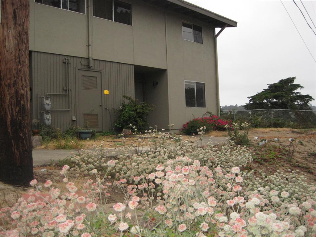 an image of a house with flowers in front of it