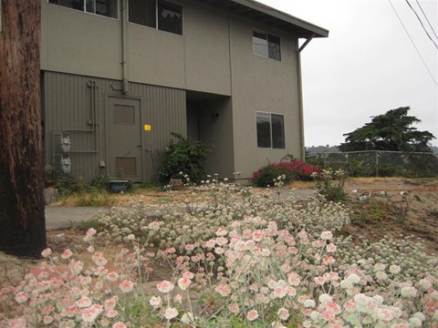 an image of a house with flowers in front of it