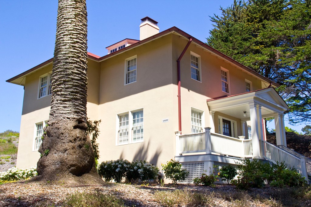 a house with a palm tree in front of it