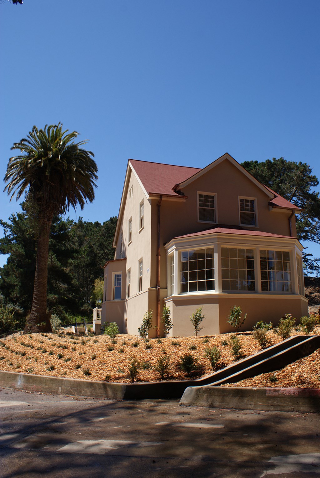 a house with a palm tree in front of it
