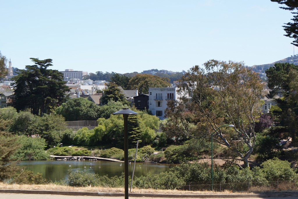 a lake in a park with a city in the background