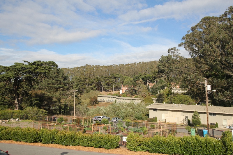 a view of a farm with a house and trees in the background