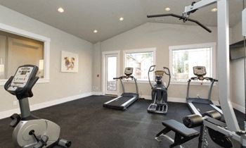 Fitness Room with Treadmill, Excercise Bikes, Open Windows