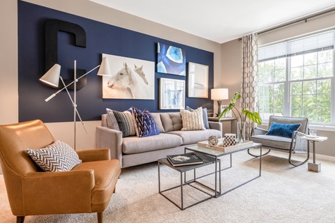 a living room with a blue accent wall and a gray couch