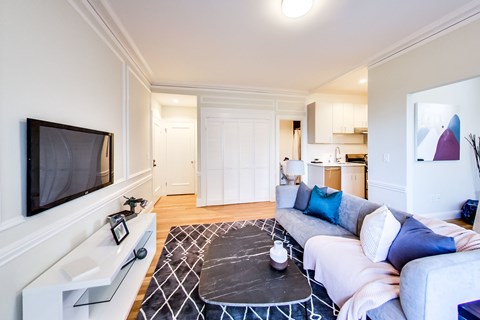 A living room with a grey couch and a black and white patterned rug.