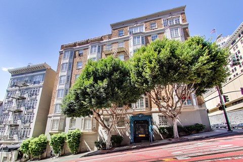 A tree in front of a building with a blue door.