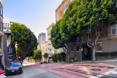 A tree-lined street with a car parked on the side.