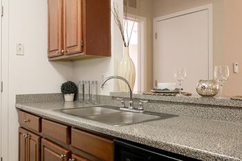 Gooseneck Sprayer Faucets at Canton Club