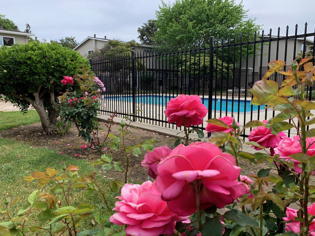a backyard with a pool and pink flowers