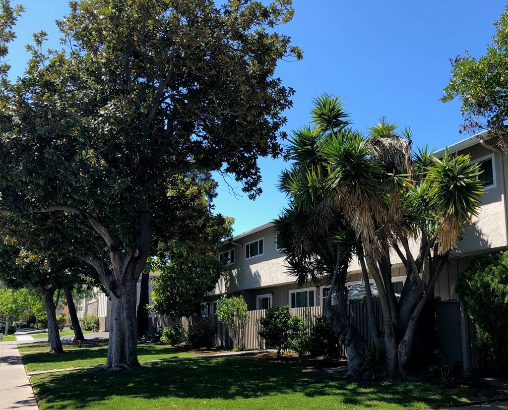a building with palm trees in front of it