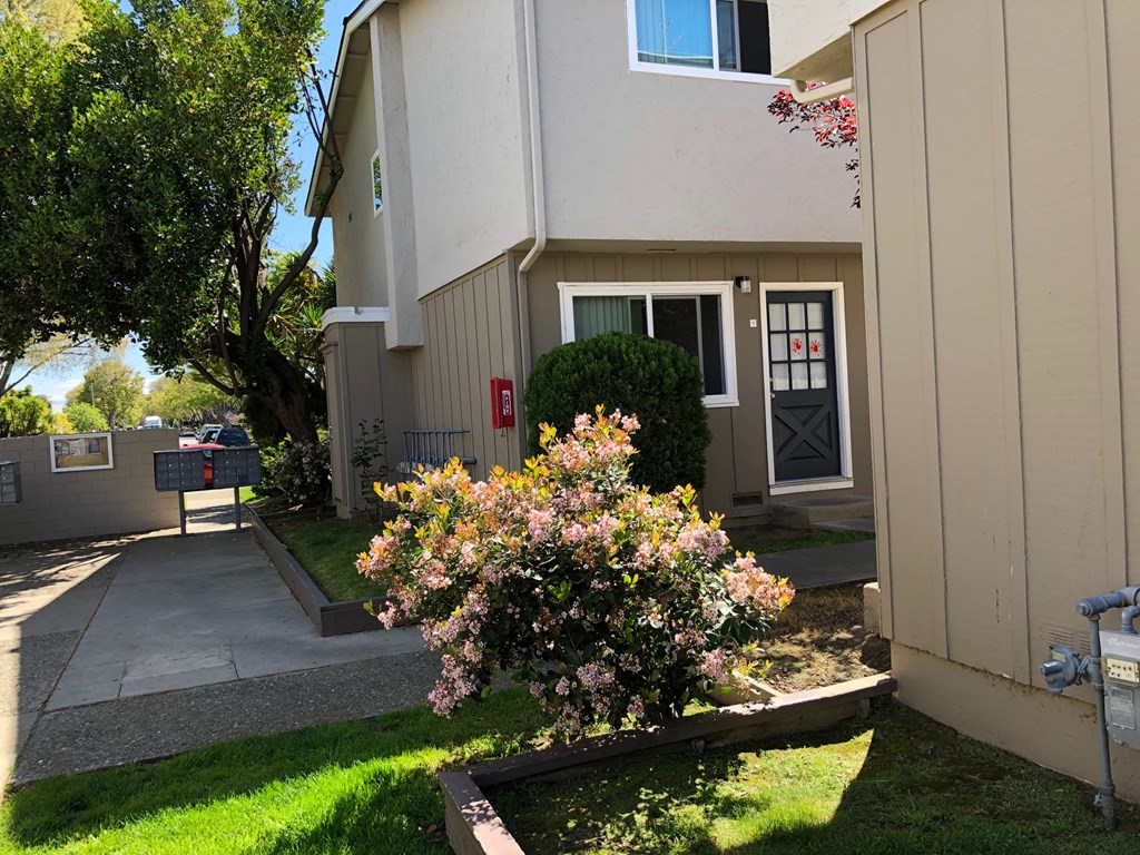 the front of a house with a sidewalk and a flowering plant