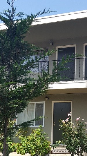 727-739 Carmel Avenue 2 Beds Apartment for Rent - Photo Gallery 6