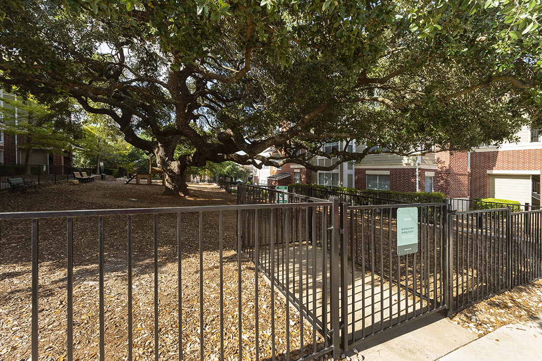 a yard with a fence and a tree in front of a house