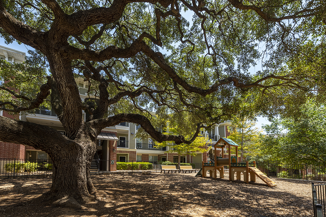 a playground with a tree in front of a building