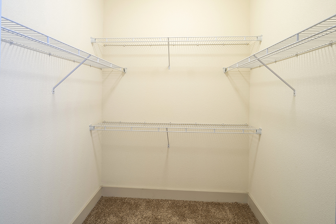 a walk in closet with empty shelves and a carpeted floor