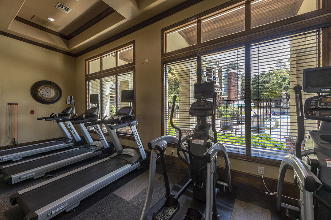 the gym has plenty of cardio equipment and large windows